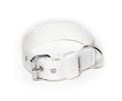 Obroża BASIC 4 cm