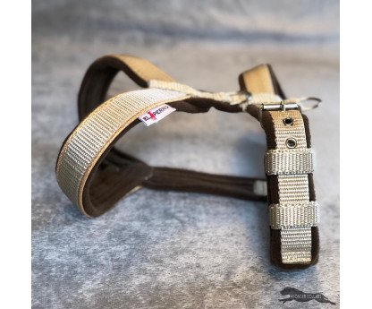 Harness WITH FLEECE Gold&Silver 2,5 cm