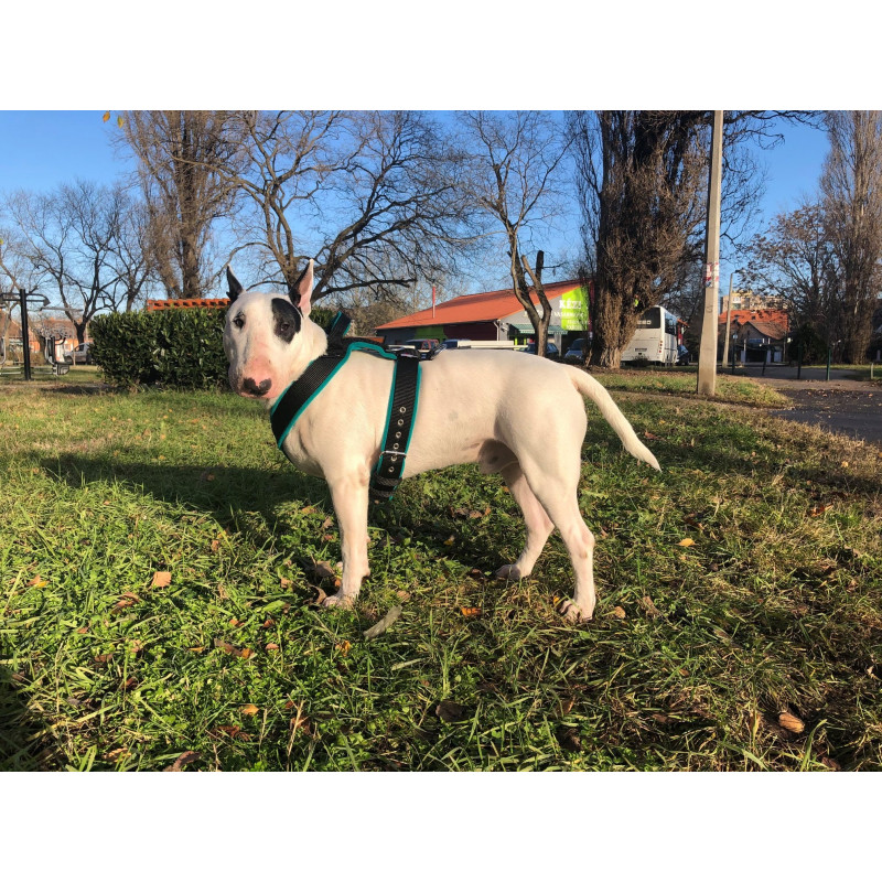 FLEECE COMFORT GRIP HARNESS 5CM