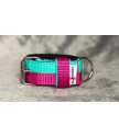 JUICY DOUBLE COLOR COLLAR 4CM