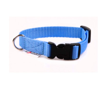 Collar PUPPY CLICK 1,5 cm