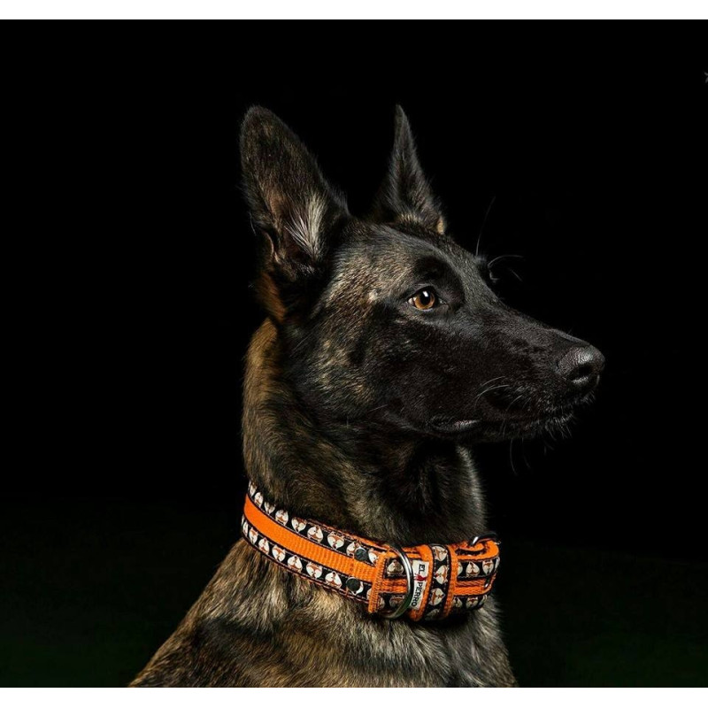 Collar TRIPLE COMIX 4 cm
