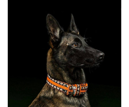 Collar TRIPLE COMIX 4 cm