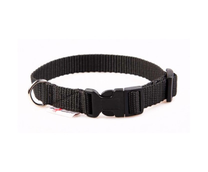 Collar PUPPY CLICK 1,5 cm
