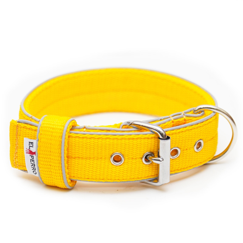 Collar GLOW KENNEL 4 cm