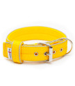 Collar GLOW KENNEL 4 cm