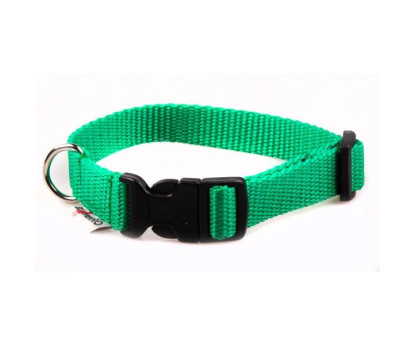 Collar PUPPY CLICK 1,5 cm