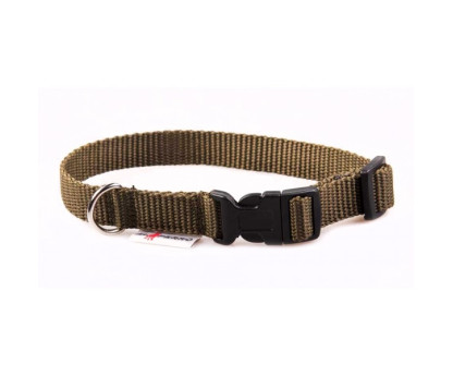 Collar PUPPY CLICK 1,5 cm
