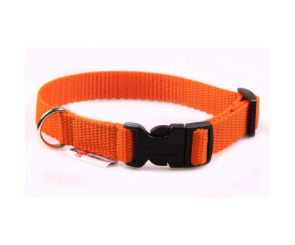 Collar PUPPY CLICK 1,5 cm