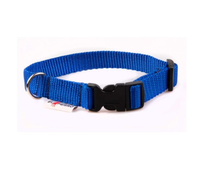 Collar PUPPY CLICK 1,5 cm