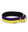 Collar CHOKE  JUICY double color 4 cm