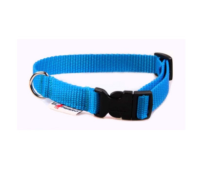 Collar PUPPY CLICK 1,5 cm
