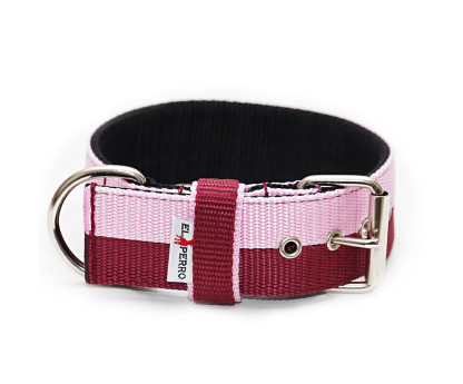 JUICY DOUBLE COLOR COLLAR 5CM