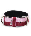 JUICY DOUBLE COLOR COLLAR 5CM