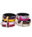JUICY DOUBLE COLOR COLLAR 5CM