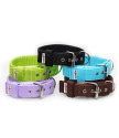 TRIPLE KENNEL COLLAR 4CM