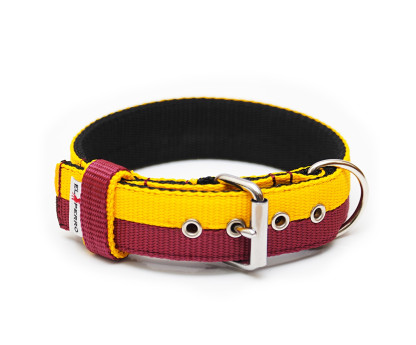 Collar JUICY TRIPLE KENNEL Double Color  4 cm