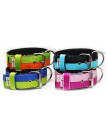 Collar JUICY TRIPLE KENNEL Double Color  5 cm