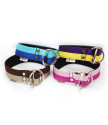 Collar CHOKE  JUICY double color 4 cm