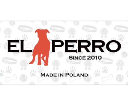 Smycz gumowana treningowa 2,5 cm