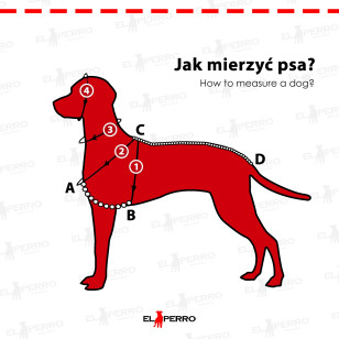Szelki z polarem Gold&Silver 4 cm