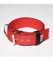 Collar INSIDE KENNEL 5 cm