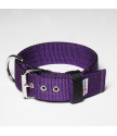 Collar INSIDE KENNEL 5 cm