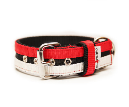 Collar JUICY STRIPS Double Color 4 cm