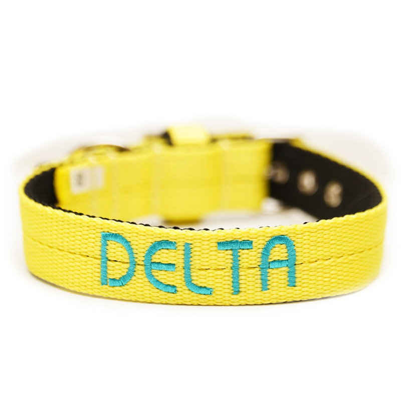 Collar JUICY  3 cm