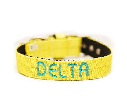 Collar JUICY  3 cm