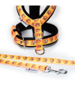Harness SZ10FUN 2,5 cm