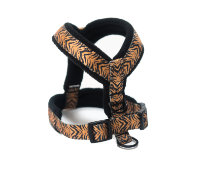 Harness CLICK FUNNY COLECTION 2,5 cm
