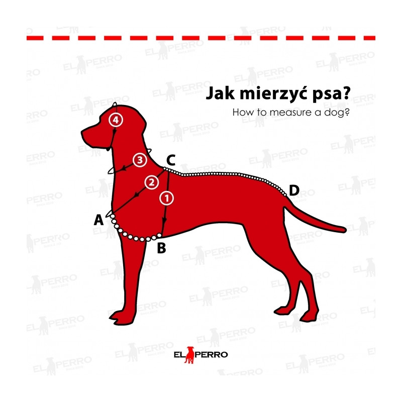 Harness CLICK FUNNY COLECTION 2,5 cm