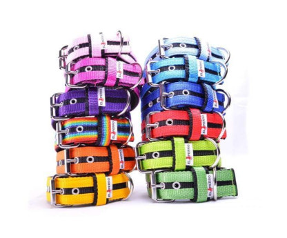 Obroża 4 cm JUICY  STRIPS