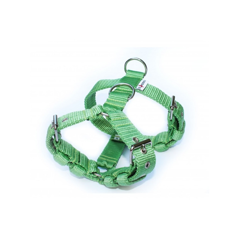 Harness  3 cm JUICY