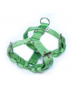 Harness  3 cm JUICY