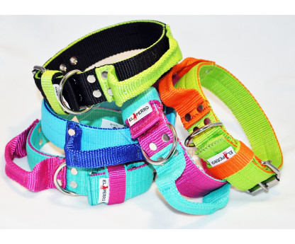 Collar SAFE GRIP Double Color 4 cm