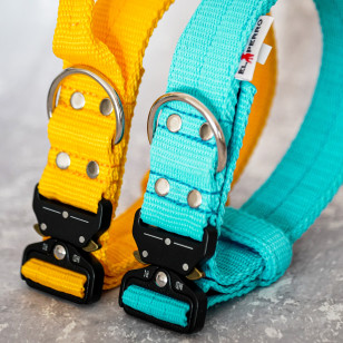 Collar EXTREME SAFE GRIP 4 cm 2