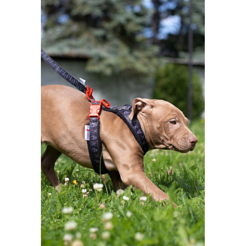 Harness CLICK FUNNY COLECTION 2,5 cm