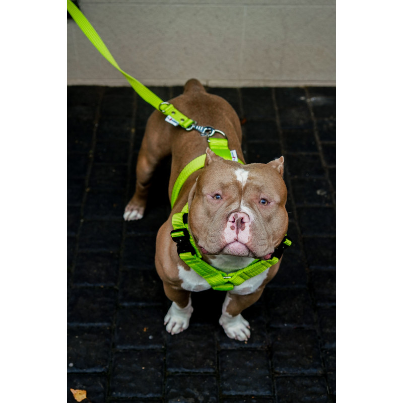 Harness EXTREME TRIPLE 4 cm