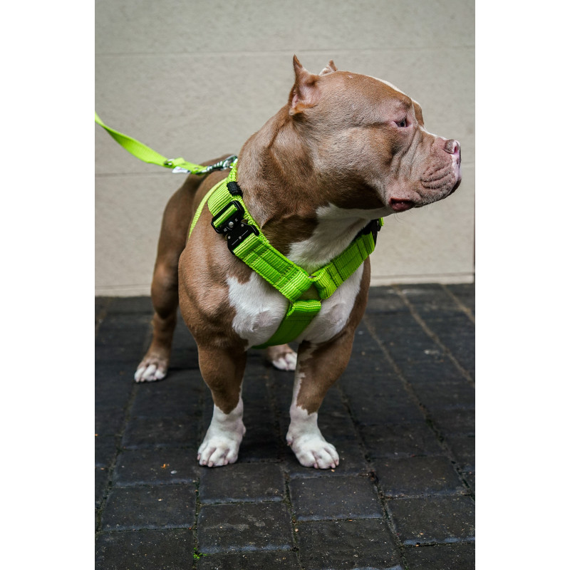 Harness EXTREME TRIPLE 4 cm