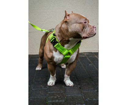 Harness EXTREME TRIPLE 4 cm