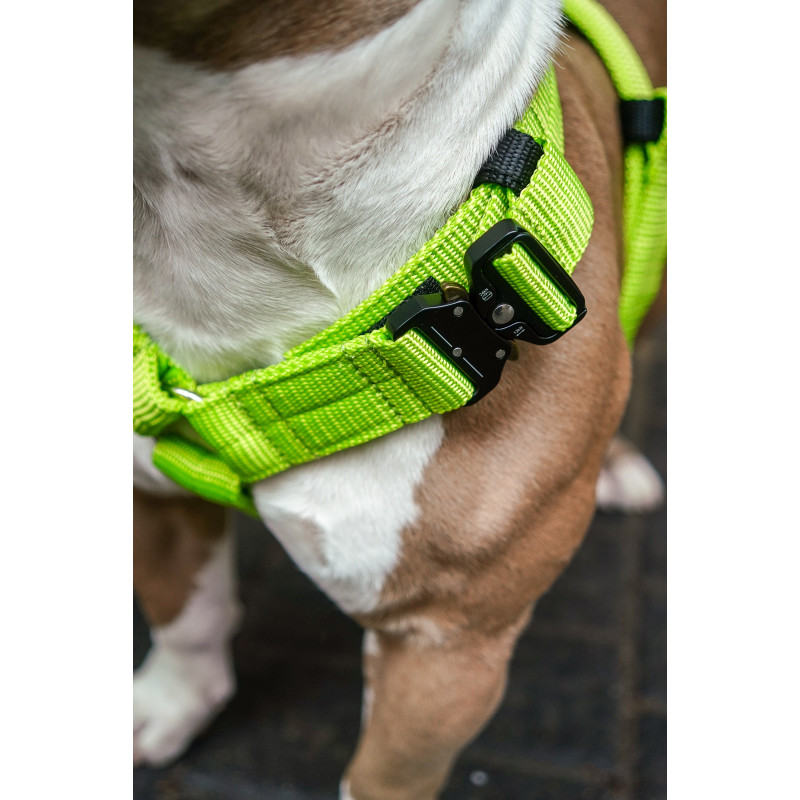 Harness EXTREME TRIPLE 4 cm