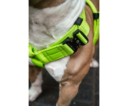 Harness EXTREME TRIPLE 4 cm