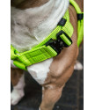 Harness EXTREME TRIPLE 4 cm