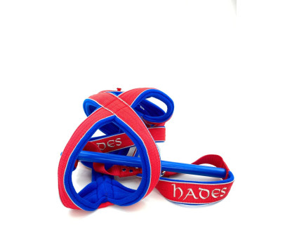 Szelki WP X-BACK GLOW  4 cm