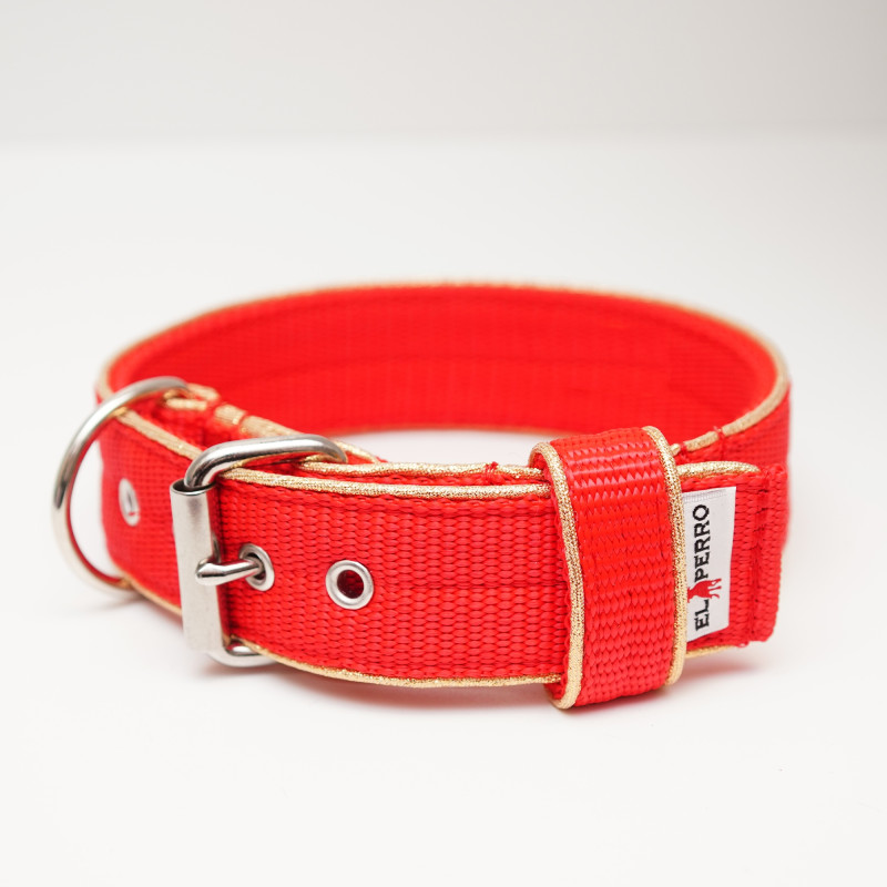 Collar GLOW KENNEL 5 cm