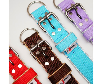 Collar GLOW KENNEL 5 cm