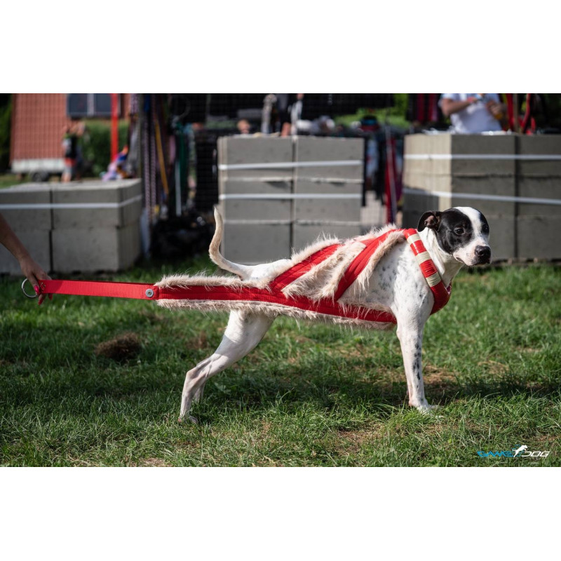 Szelki WEIGHT PULLING AIR X-BACK short fur