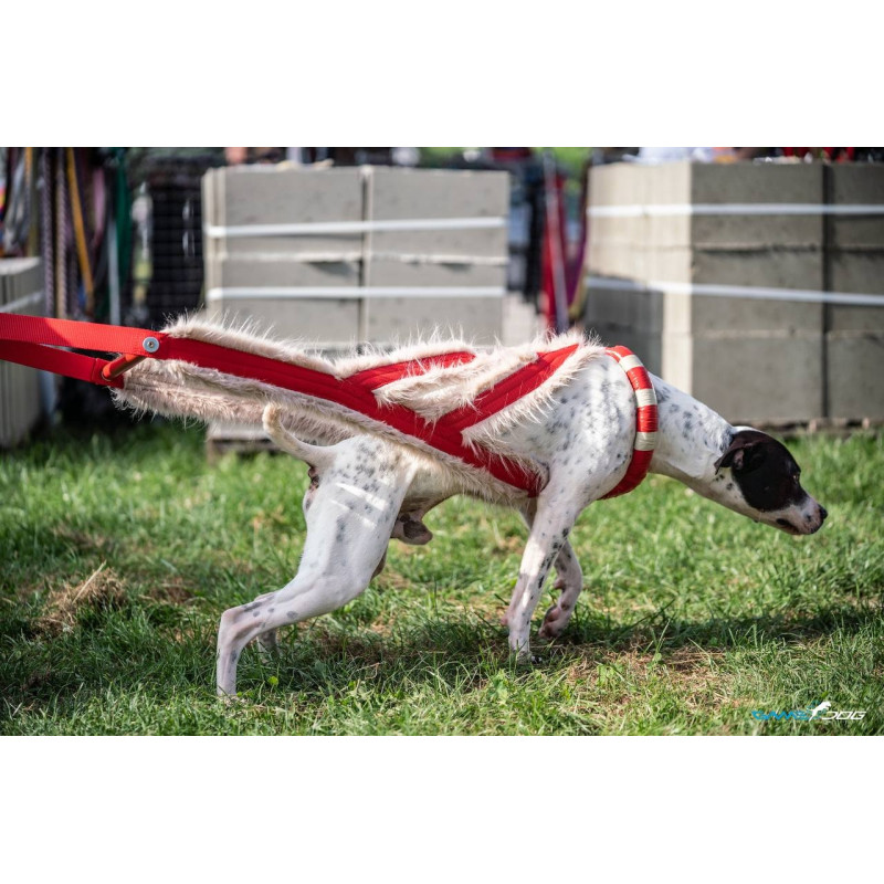 Szelki WEIGHT PULLING AIR X-BACK short fur